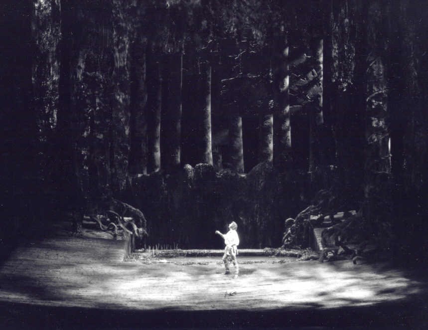 1985 siegfried a2 bayreuth 2 